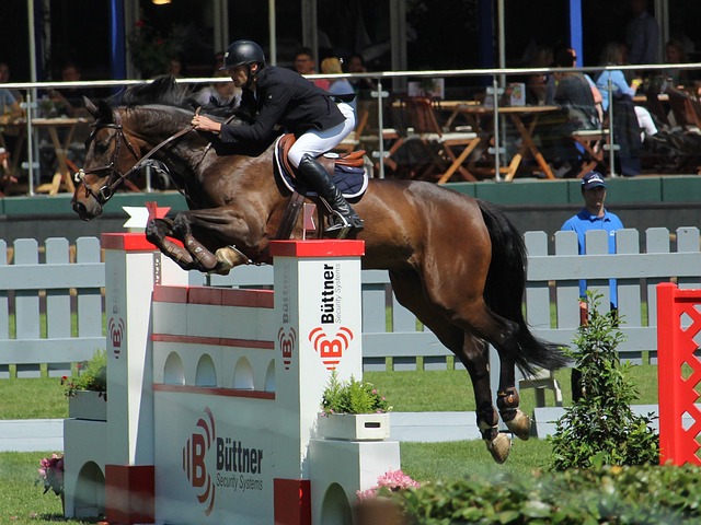 的超级球星 的超级球星