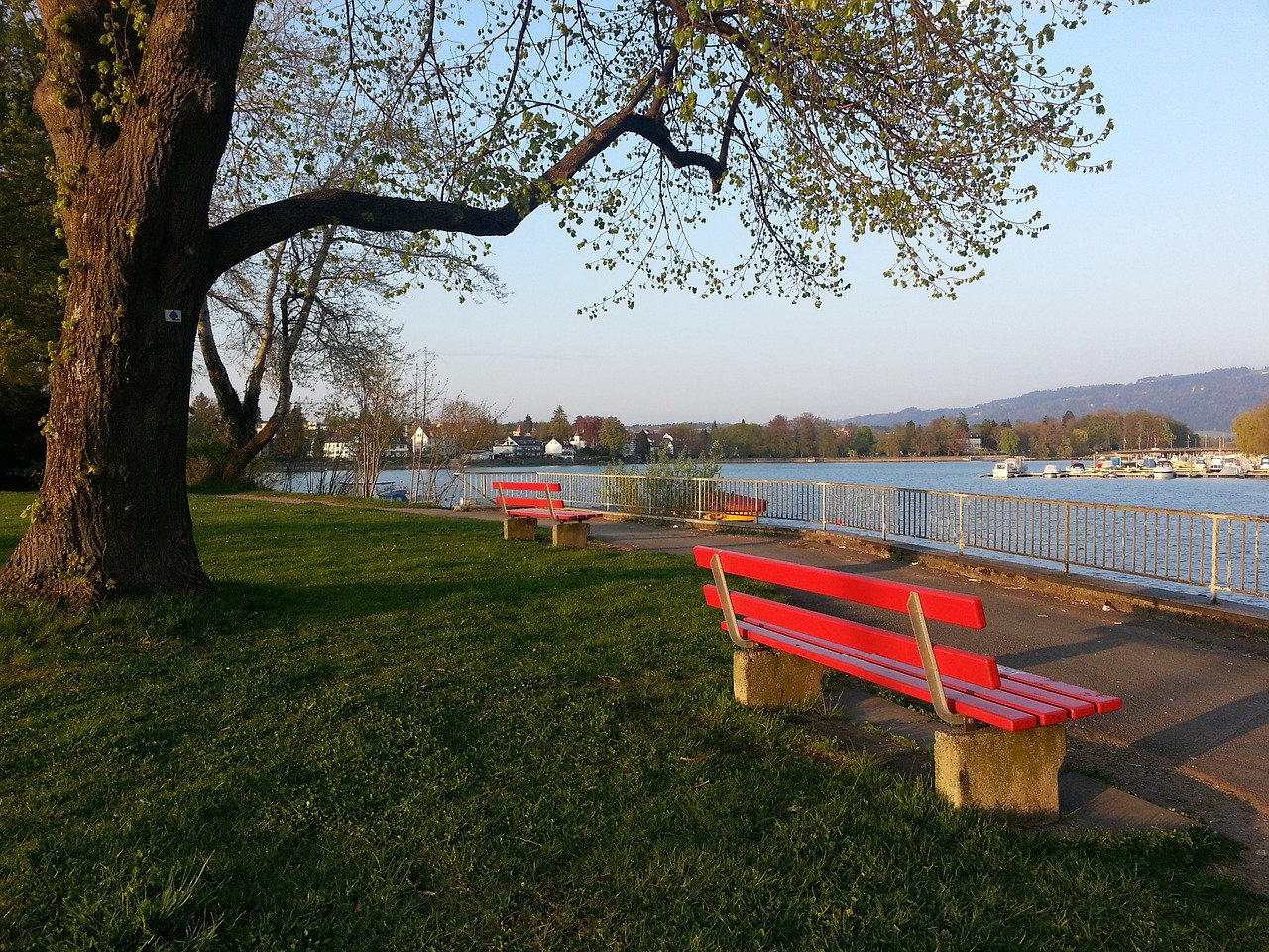 还反映出在 还反映出在