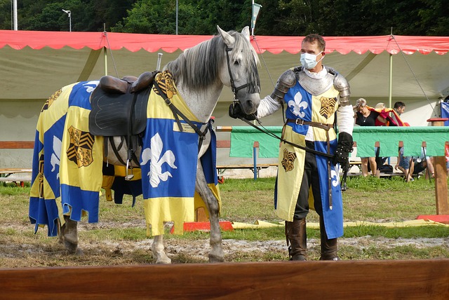 视为危险动 视为危险动