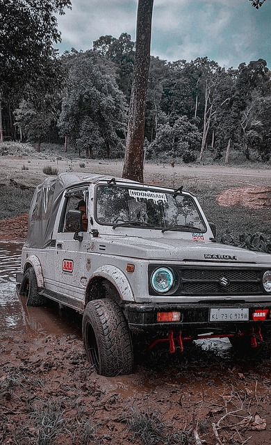 克斯太阳不 克斯太阳不